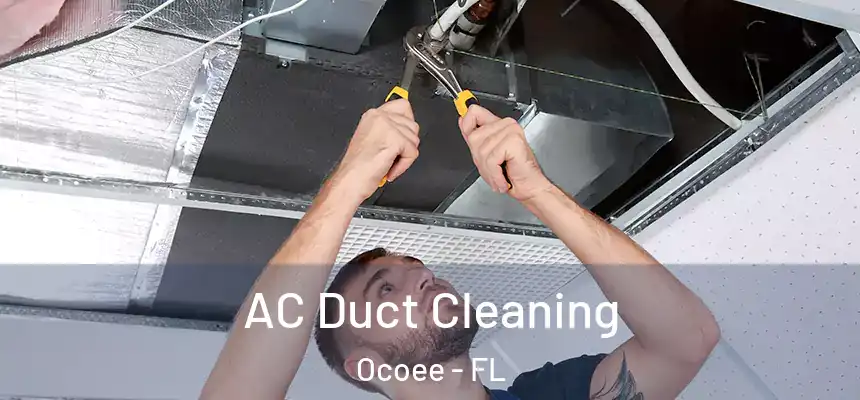  AC Duct Cleaning Ocoee - FL