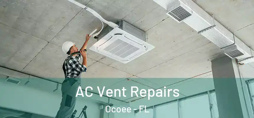  AC Vent Repairs Ocoee - FL