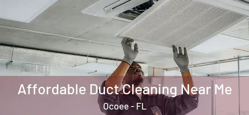 Affordable Duct Cleaning Near Me Ocoee - FL