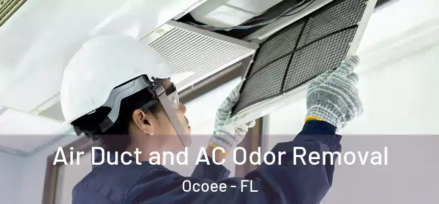  Air Duct and AC Odor Removal Ocoee - FL
