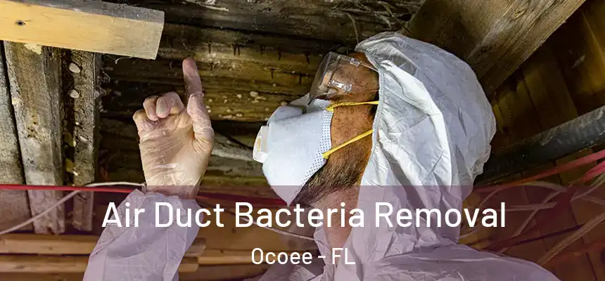 Air Duct Bacteria Removal Ocoee - FL