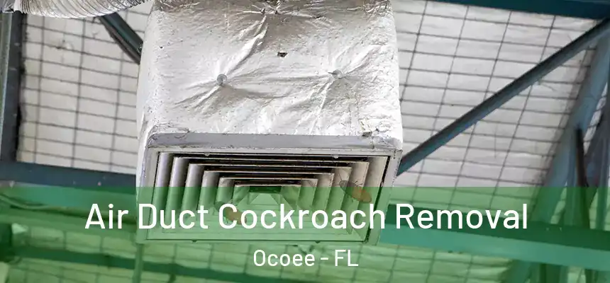 Air Duct Cockroach Removal Ocoee - FL