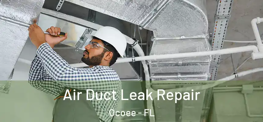 Air Duct Leak Repair Ocoee - FL