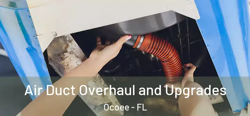  Air Duct Overhaul and Upgrades Ocoee - FL