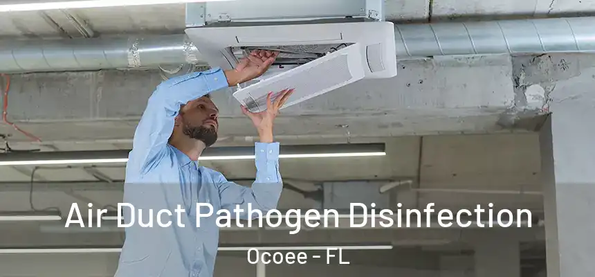  Air Duct Pathogen Disinfection Ocoee - FL