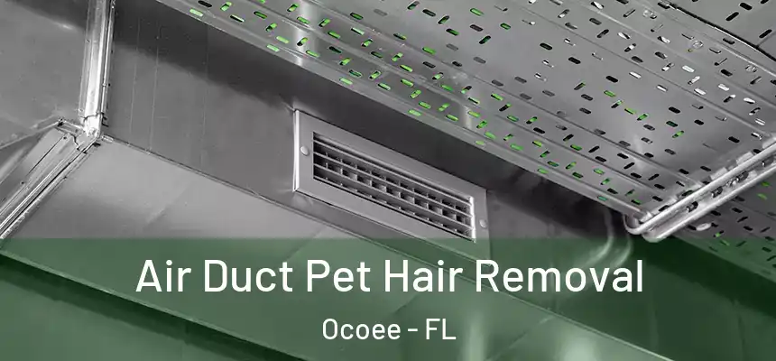  Air Duct Pet Hair Removal Ocoee - FL