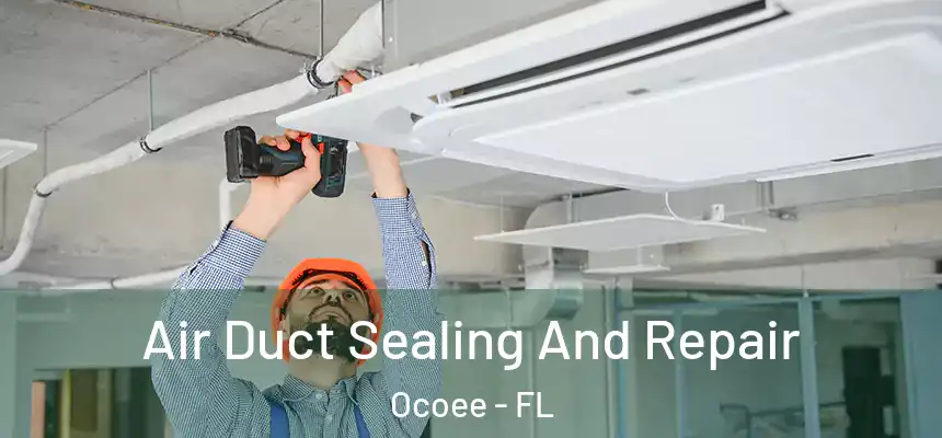 Air Duct Sealing And Repair Ocoee - FL