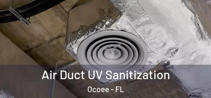  Air Duct UV Sanitization Ocoee - FL