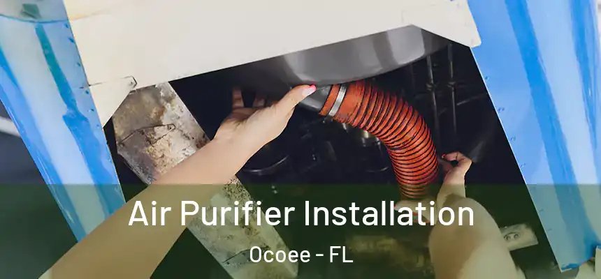  Air Purifier Installation Ocoee - FL