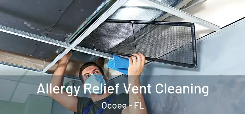 Allergy Relief Vent Cleaning Ocoee - FL