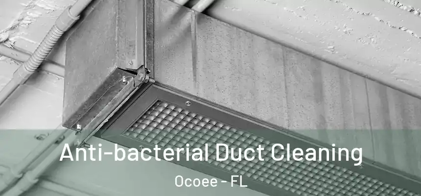Anti-bacterial Duct Cleaning Ocoee - FL