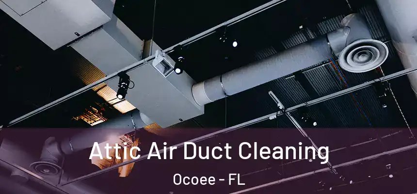  Attic Air Duct Cleaning Ocoee - FL
