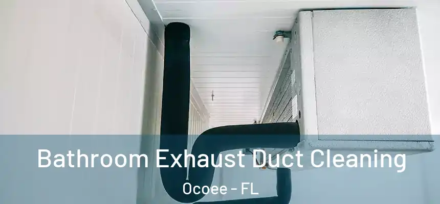 Bathroom Exhaust Duct Cleaning Ocoee - FL