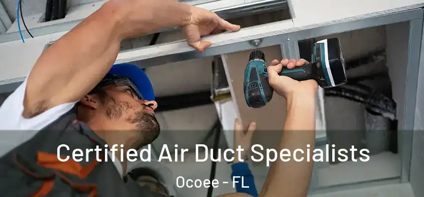 Certified Air Duct Specialists Ocoee - FL