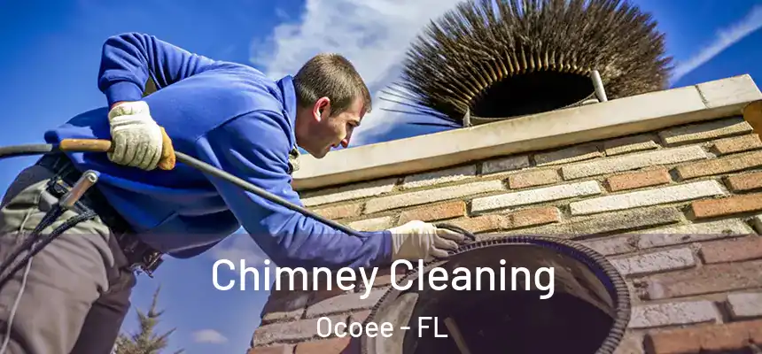  Chimney Cleaning Ocoee - FL