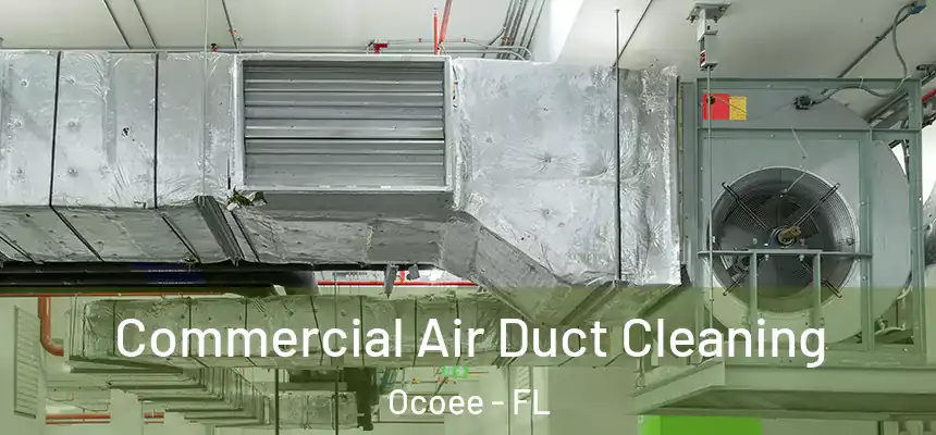 Commercial Air Duct Cleaning Ocoee - FL