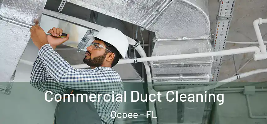 Commercial Duct Cleaning Ocoee - FL
