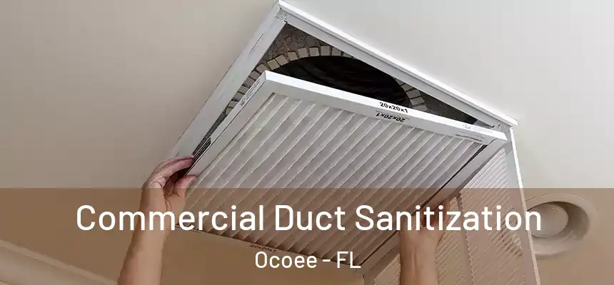  Commercial Duct Sanitization Ocoee - FL