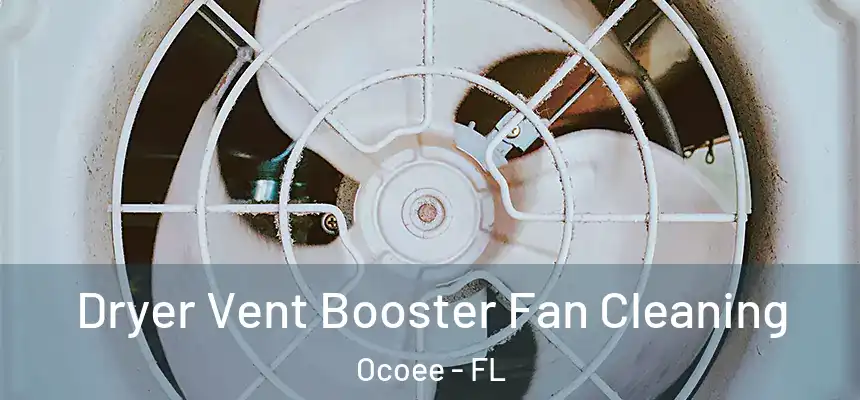  Dryer Vent Booster Fan Cleaning Ocoee - FL