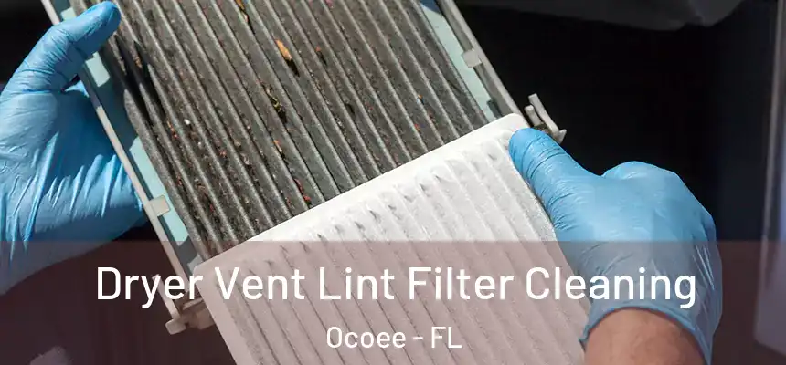  Dryer Vent Lint Filter Cleaning Ocoee - FL
