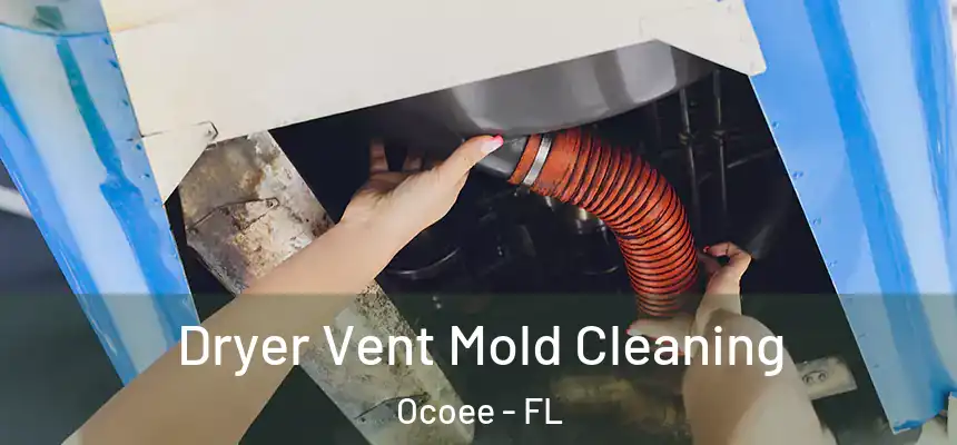 Dryer Vent Mold Cleaning Ocoee - FL