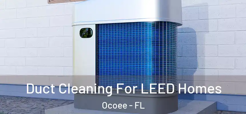 Duct Cleaning For LEED Homes Ocoee - FL