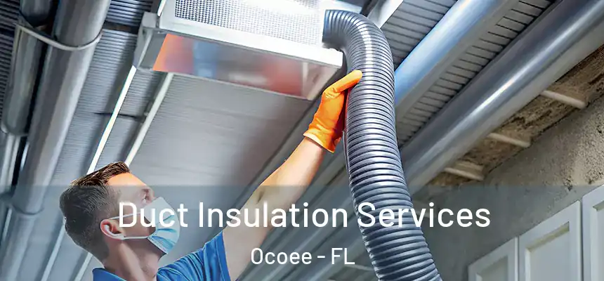  Duct Insulation Services Ocoee - FL