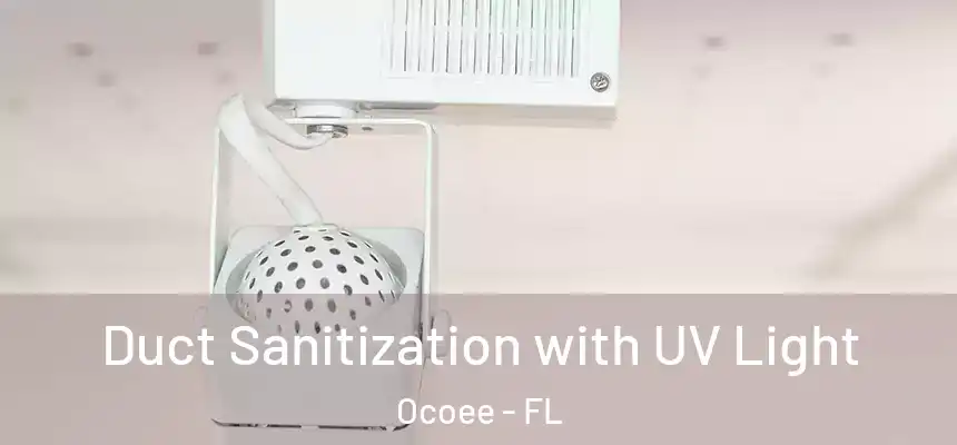  Duct Sanitization with UV Light Ocoee - FL