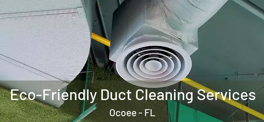 Eco-Friendly Duct Cleaning Services Ocoee - FL