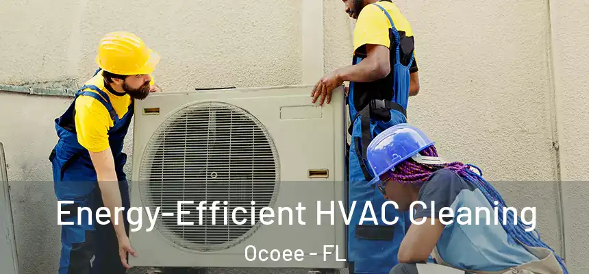  Energy-Efficient HVAC Cleaning Ocoee - FL