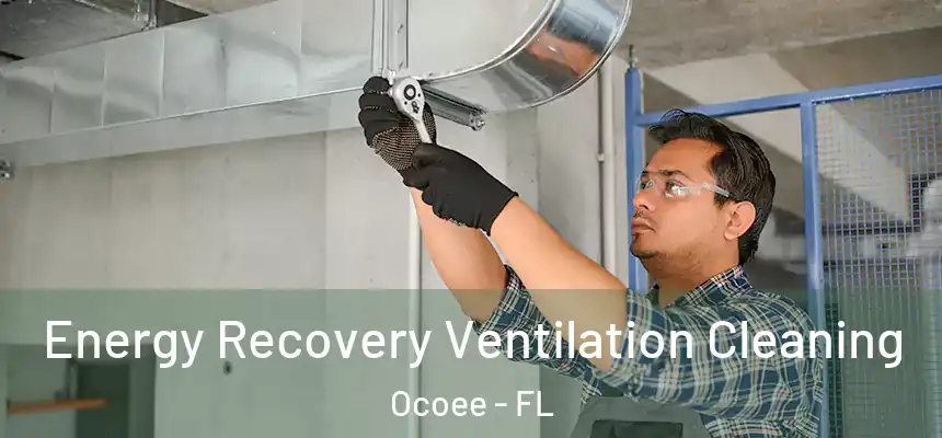 Energy Recovery Ventilation Cleaning Ocoee - FL