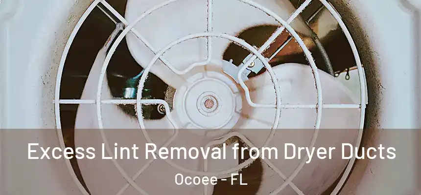  Excess Lint Removal from Dryer Ducts Ocoee - FL