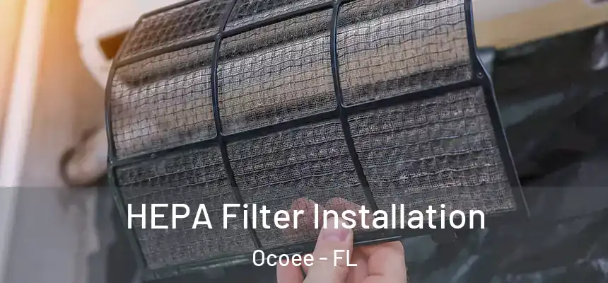  HEPA Filter Installation Ocoee - FL