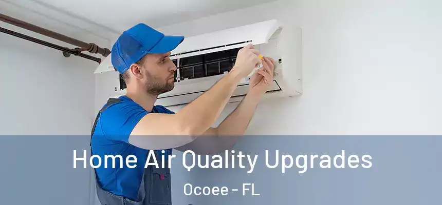 Home Air Quality Upgrades Ocoee - FL