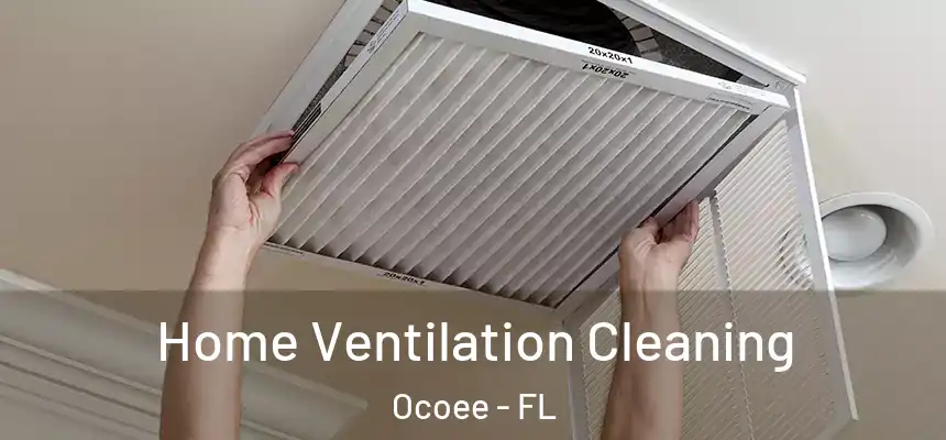 Home Ventilation Cleaning Ocoee - FL