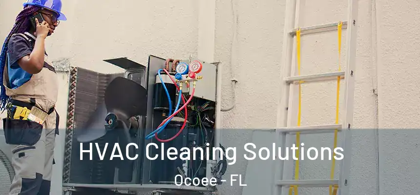 HVAC Cleaning Solutions Ocoee - FL