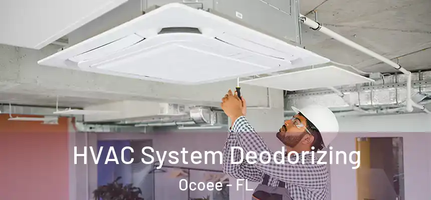  HVAC System Deodorizing Ocoee - FL