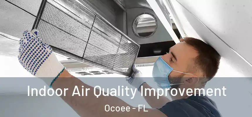  Indoor Air Quality Improvement Ocoee - FL