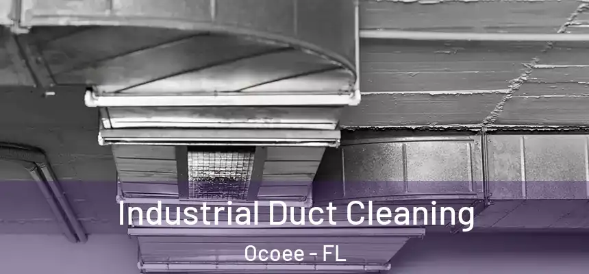 Industrial Duct Cleaning Ocoee - FL