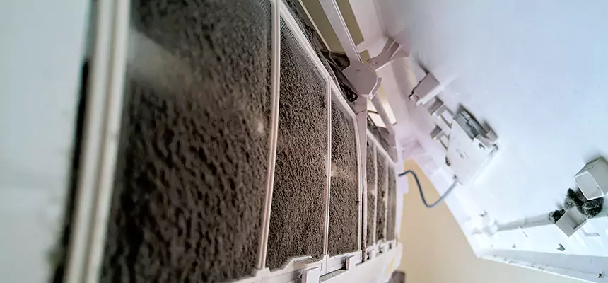 Preventive Air Duct Bacteria Removal in Ocoee