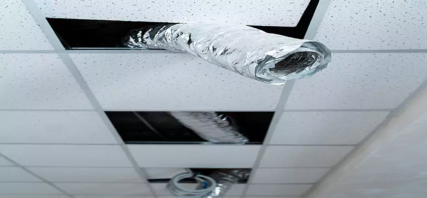 Our Air Duct Pet Hair Removal Services in Ocoee, FL