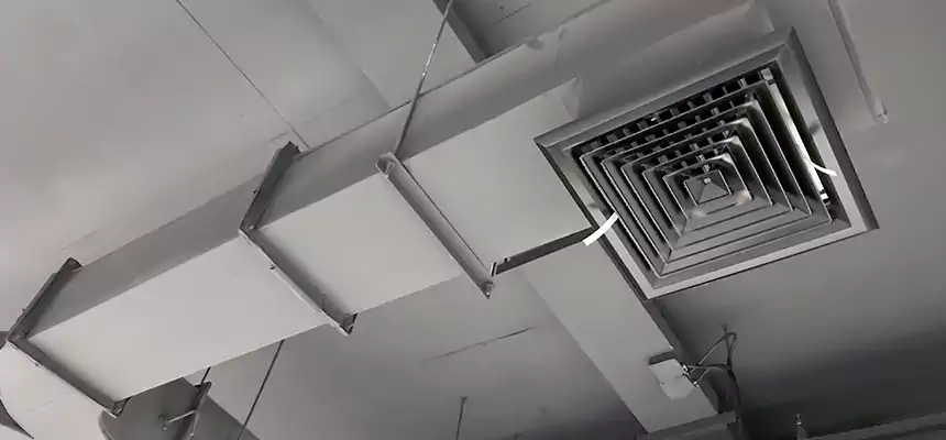 Restorative Allergy Relief Vent Cleaning – Coil, Blower & Housing Detail in Ocoee