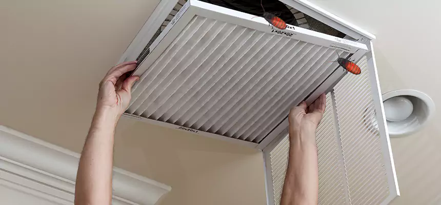 Our Insect Removal from Air Ducts Services in Ocoee, FL