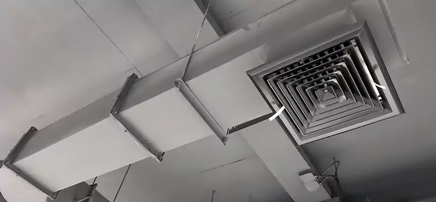 Our Pest Removal From Ducts Services in Ocoee, FL