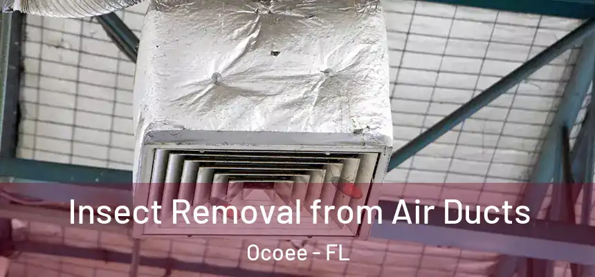 Insect Removal from Air Ducts Ocoee - FL
