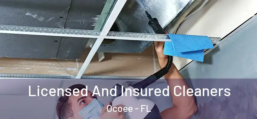  Licensed And Insured Cleaners Ocoee - FL