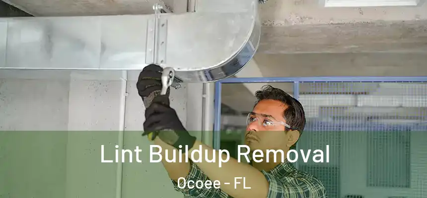  Lint Buildup Removal Ocoee - FL