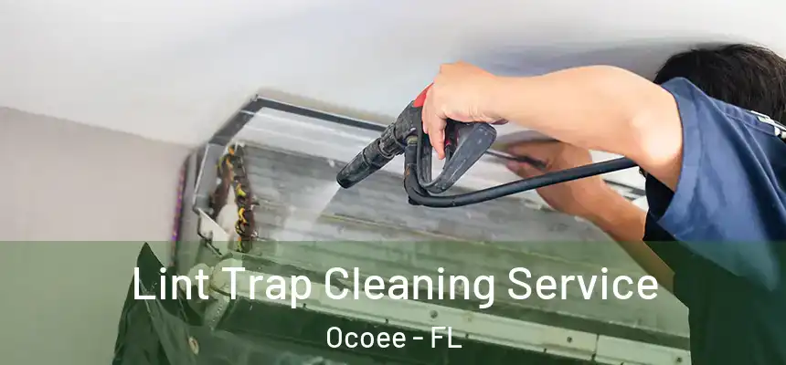  Lint Trap Cleaning Service Ocoee - FL