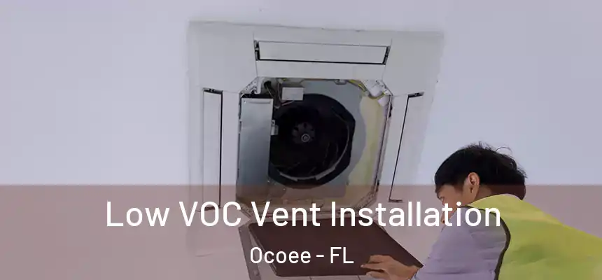  Low VOC Vent Installation Ocoee - FL