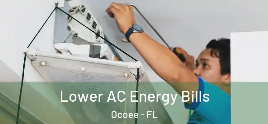  Lower AC Energy Bills Ocoee - FL